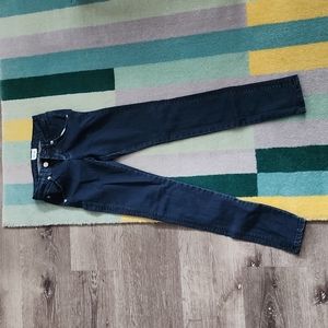 Euc Hudson skinny jeans